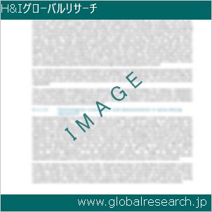 グローバルリサーチ調査レポートのイメージ